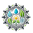 LIFEWS Academy Logo